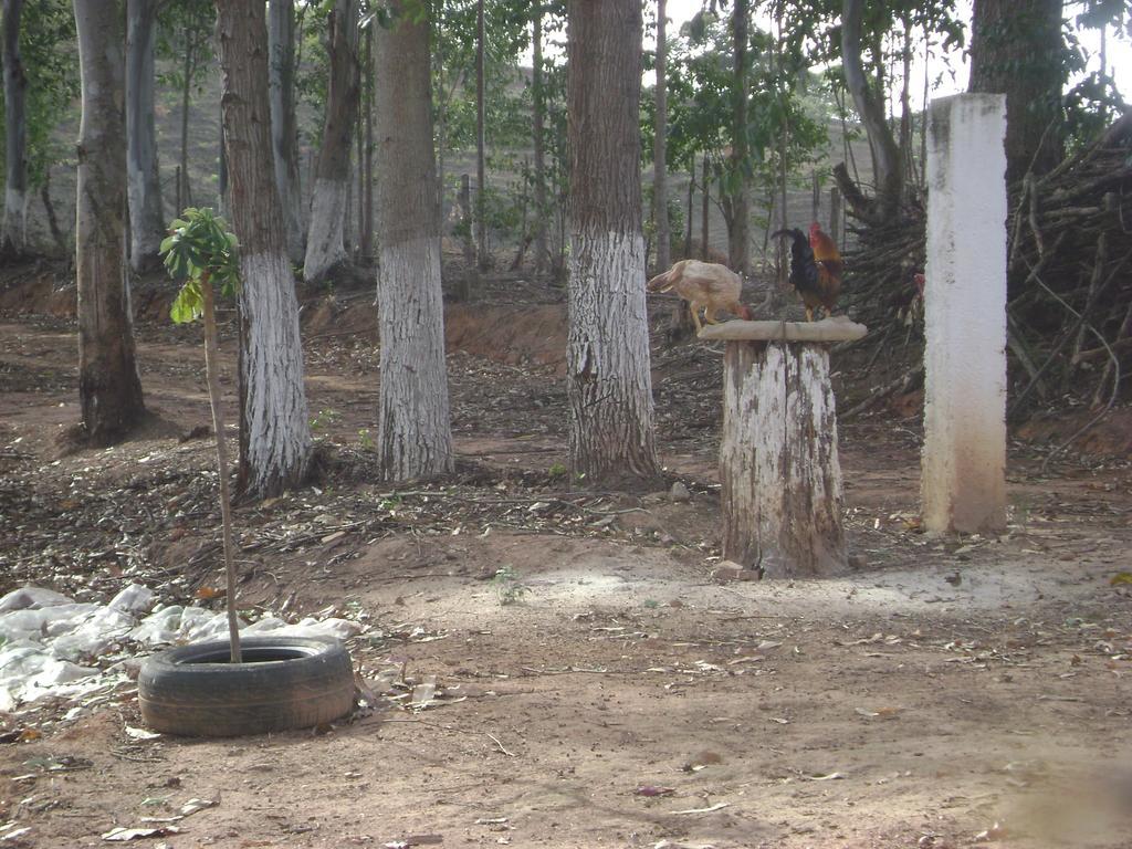 Pousada dos Tucanos São Tomé das Letras Exterior foto